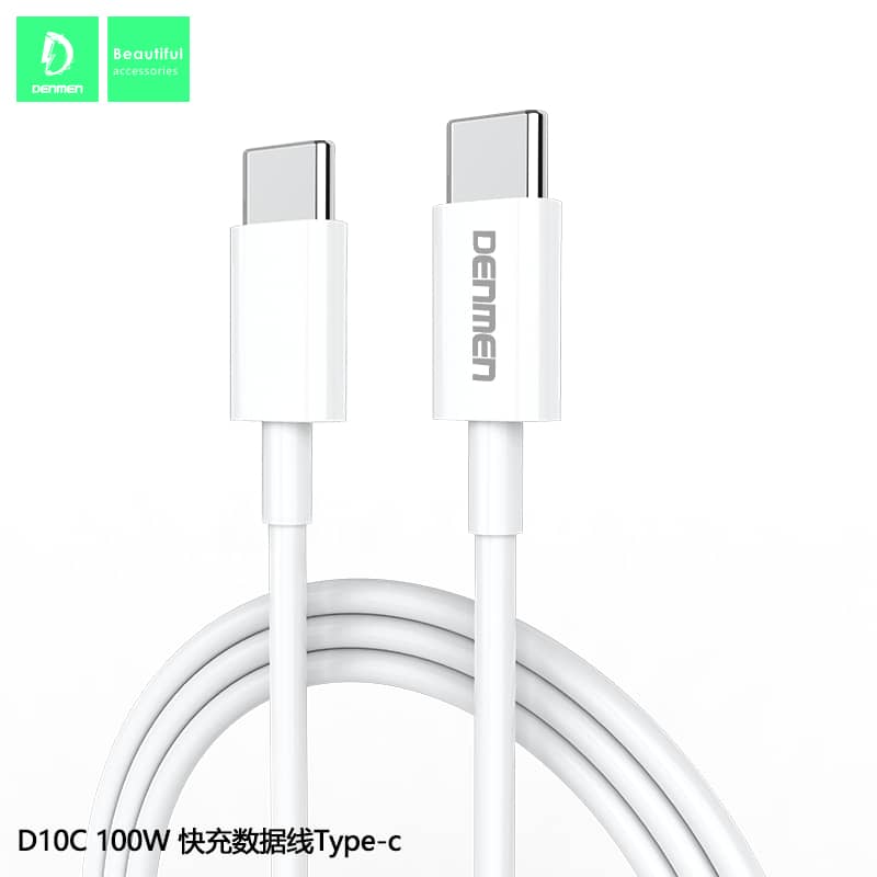 وصلة  100W Denmen تايبسي إلى تايبسي 